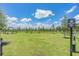 Designated dog park for small dogs under 24 lbs at 34432 Wynthorne Pl, Wesley Chapel, FL 33545