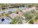 Aerial view of houses, a lake, and lush greenery at 19820 Morden Blush Dr, Lutz, FL 33558