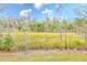 Backyard with grassy area and view of wetlands at 26519 Castleview Way, Wesley Chapel, FL 33544