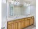 Double vanity bathroom with wood cabinets and a large mirror at 26519 Castleview Way, Wesley Chapel, FL 33544