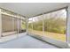 Screened-in porch overlooking a backyard with trees and natural landscape at 26519 Castleview Way, Wesley Chapel, FL 33544
