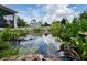 Serene backyard pond with aquatic plants at 3238 Mela Ct, Holiday, FL 34691