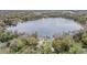 Aerial view of a lakefront home and its surrounding landscape at 3614 Crenshaw Lake Rd, Lutz, FL 33548