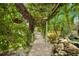 Landscaped pathway with pergola leading to a tranquil pool area at 5906 N Kenneth Ave, Tampa, FL 33604