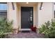 Elegant dark-colored front door entrance with a brick walkway and lush greenery at 8424 Alberata Vista Dr, Tampa, FL 33647