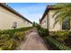 Brick pathway between houses with manicured hedges at 8424 Alberata Vista Dr, Tampa, FL 33647
