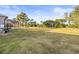 Spacious backyard with lush green grass and mature trees providing privacy at 10920 Flint Estates Dr, Thonotosassa, FL 33592