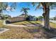 House exterior with fenced yard and palm trees at 11225 Scotchwood Dr, Riverview, FL 33579