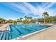 Lanes and a large leisure pool area for swimming at 18119 Diamond Cove Ct, Tampa, FL 33647