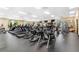 State-of-the-art fitness center with various exercise equipment at 18119 Diamond Cove Ct, Tampa, FL 33647