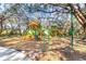 Community playground with slides and climbing structures for children at 18119 Diamond Cove Ct, Tampa, FL 33647