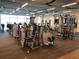Fitness center with modern equipment for strength and cardio at 19771 Ship Wheel Way, Land O Lakes, FL 34638