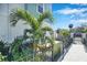 Landscaped side yard with palm trees and a walkway at 2819 1St S Ave, St Petersburg, FL 33712