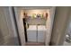 Convenient laundry closet with washer and dryer at 4410 Summer Savory St, Tampa, FL 33619