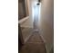 View of carpeted staircase from the upper level at 4410 Summer Savory St, Tampa, FL 33619