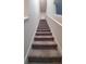 Carpeted staircase leading to the upper level of the home at 4410 Summer Savory St, Tampa, FL 33619