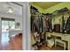 Large walk-in closet with shelving, drawers, and hanging rods at 9413 Swift Creek Cir, Dover, FL 33527