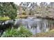 Serene pond with fountain in a community setting at 14003 Citrus Crest Cir, Tampa, FL 33625