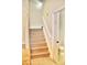 Carpeted staircase and half bathroom at 14003 Citrus Crest Cir, Tampa, FL 33625