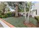 Landscaped yard with lush tropical plants at 220 14Th N Ave, St Petersburg, FL 33701