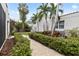 Landscaped side yard with a walkway and hedges at 220 14Th N Ave, St Petersburg, FL 33701