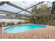 Inviting kidney-shaped pool with screened enclosure at 3048 Orchard Dr, Palm Harbor, FL 34684