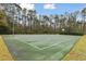Outdoor basketball court with green surface at 25406 Lexington Oaks Blvd, Wesley Chapel, FL 33544