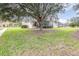 House exterior showcasing backyard with screened patio and lush landscaping at 27325 Mistflower Dr, Wesley Chapel, FL 33544