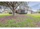 Landscaped backyard with mature oak tree and screened enclosure at 27325 Mistflower Dr, Wesley Chapel, FL 33544