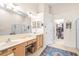 Spa-like bathroom with dual sinks, large walk-in closet, and shower at 27325 Mistflower Dr, Wesley Chapel, FL 33544