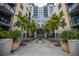 Building entrance with lush landscaping and palm trees at 400 4Th S Ave # 506, St Petersburg, FL 33701