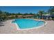 Freeform pool with a patio and plenty of lounge chairs at 417 Brandywine Falls Ct, Apollo Beach, FL 33572