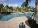 Freeform community pool with surrounding patio and palm trees at 417 Brandywine Falls Ct, Apollo Beach, FL 33572