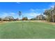 Green golf course with flag and trees at 4605 Lisette Cir, Brooksville, FL 34604