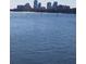 City skyline view across the water at 2 Brightwaters Ne Cir, St Petersburg, FL 33704
