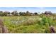 Peaceful lake view with lush greenery and lily pads at 3145 Covina St, New Port Richey, FL 34655