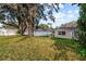 Spacious backyard with large tree and fence at 5135 River Point Ct, New Port Richey, FL 34653