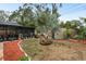 Landscaped backyard with shed, palm tree and red mulch at 1611 San Charles Dr, Dunedin, FL 34698