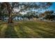 Expansive grassy area with mature trees offering shade near the residential building at 2258 World Parkway W Blvd # 8, Clearwater, FL 33763