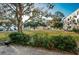 Exterior lawn view with building, trees and lawn with shrubs and concrete at 2258 World Parkway W Blvd # 8, Clearwater, FL 33763