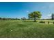 Expansive golf course with lush green grass and mature trees under a clear blue sky at 2258 World Parkway W Blvd # 8, Clearwater, FL 33763