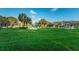 Lush green space with scattered trees and clear blue skies and landscaping at 2258 World Parkway W Blvd # 8, Clearwater, FL 33763