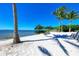 Beach area with lounge chairs and palm trees by the water at 380 Aruba Cir # 203, Bradenton, FL 34209