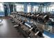 Fitness center with various weights at 7401 Paradiso Dr, Apollo Beach, FL 33572