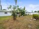 Backyard with grassy lawn and tropical plants at 9909 48Th N Ave, St Petersburg, FL 33708