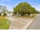 House with driveway and large tree in front at 9909 48Th N Ave, St Petersburg, FL 33708