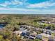 Aerial view of neighborhood at 12509 Bay Branch Ct, Tampa, FL 33635