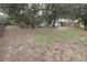 Large, mostly unlandscaped backyard with mature trees surrounding at 156 Grand Ave, Brooksville, FL 34604