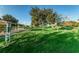 Community dog park with grassy area and benches at 2363 Israeli Dr # 25, Clearwater, FL 33763