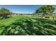 Expansive green golf course with mature trees at 2363 Israeli Dr # 25, Clearwater, FL 33763